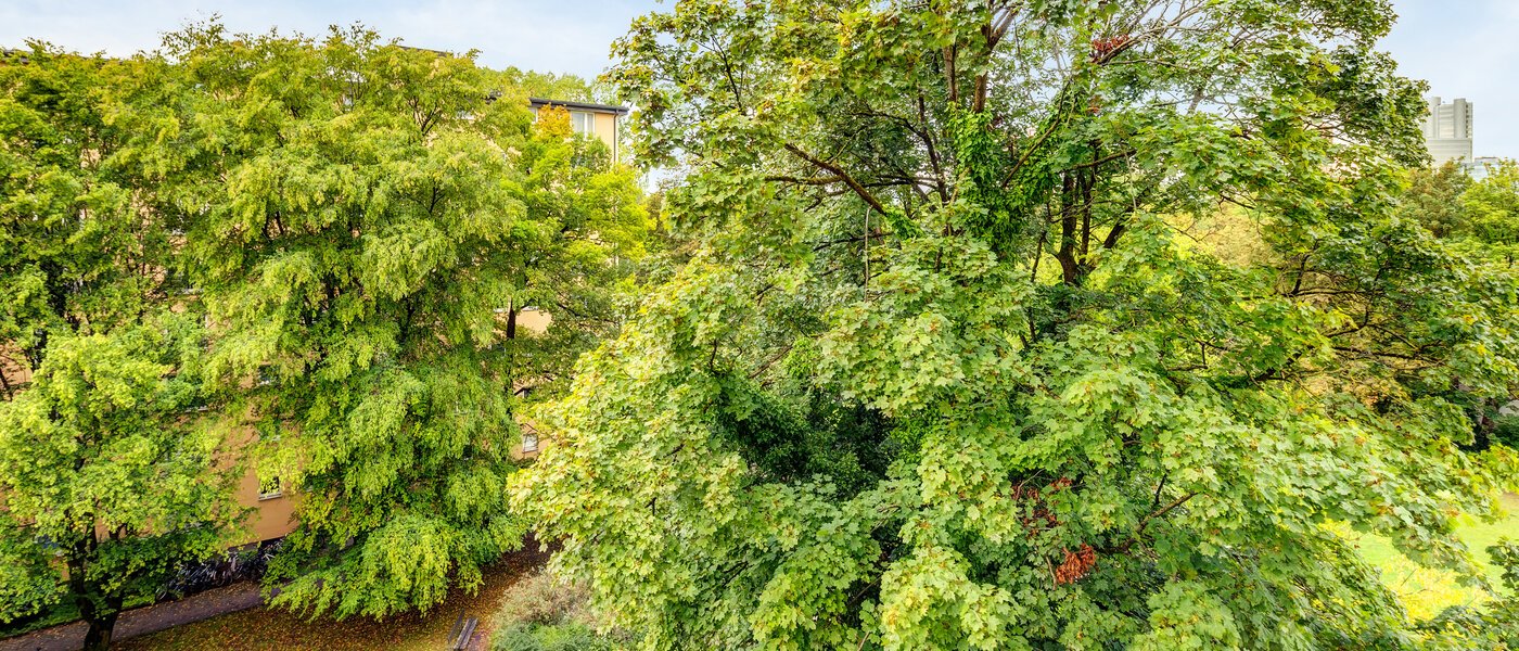 apartment München Parkstadt Bogenhausen 02 view 1160