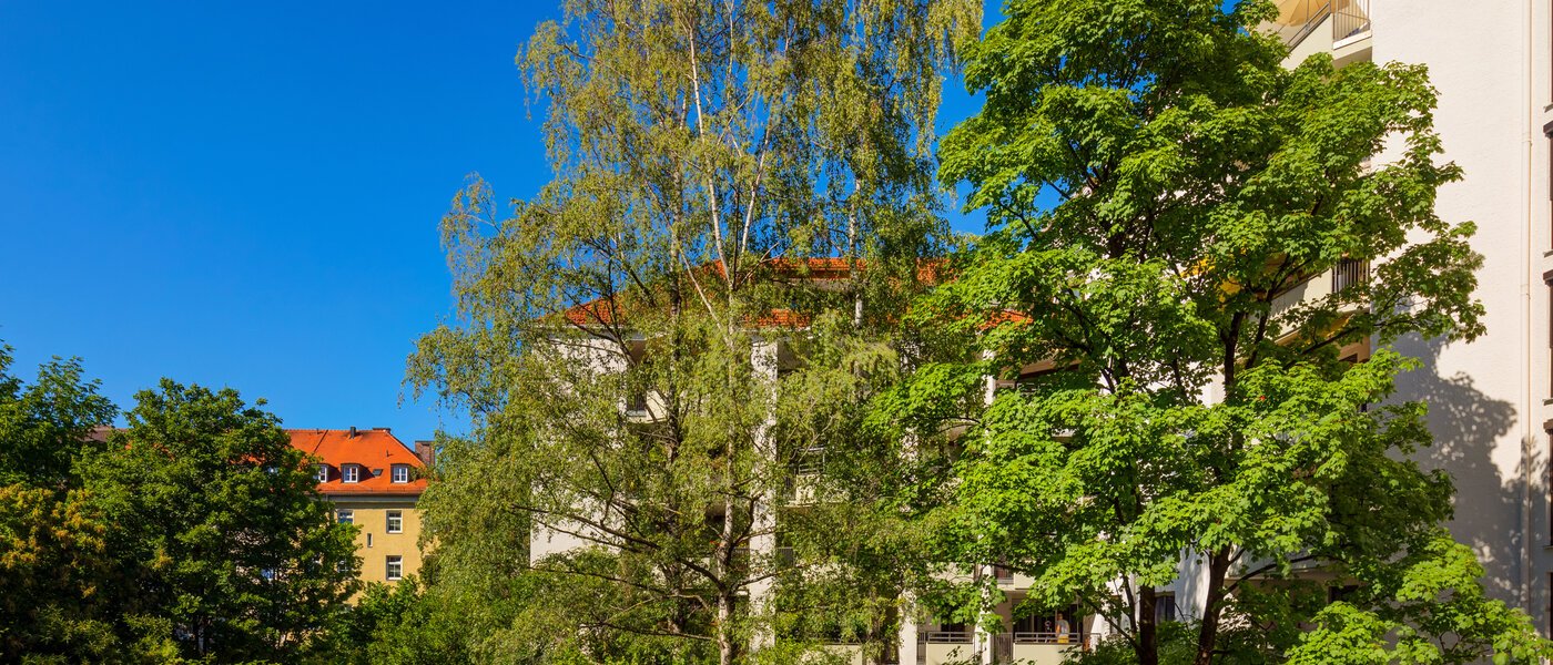 apartment München Maxvorstadt 01 view 11609