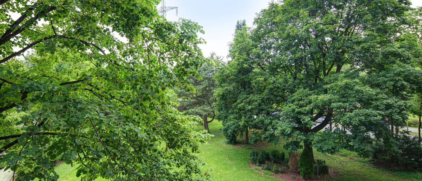 apartment München Aubing 02 view 11641