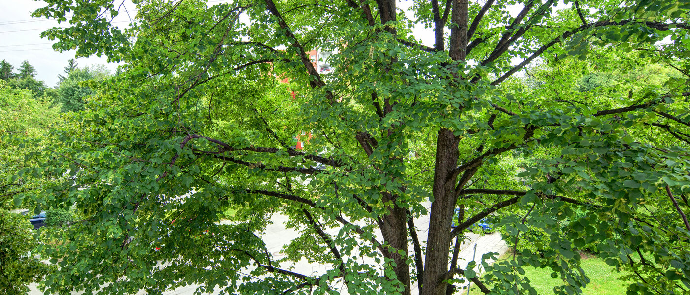 apartment München Aubing 03 view 11641