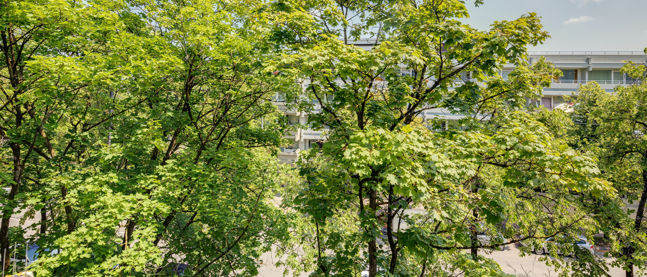 apartment München Milbertshofen 01 view 11650