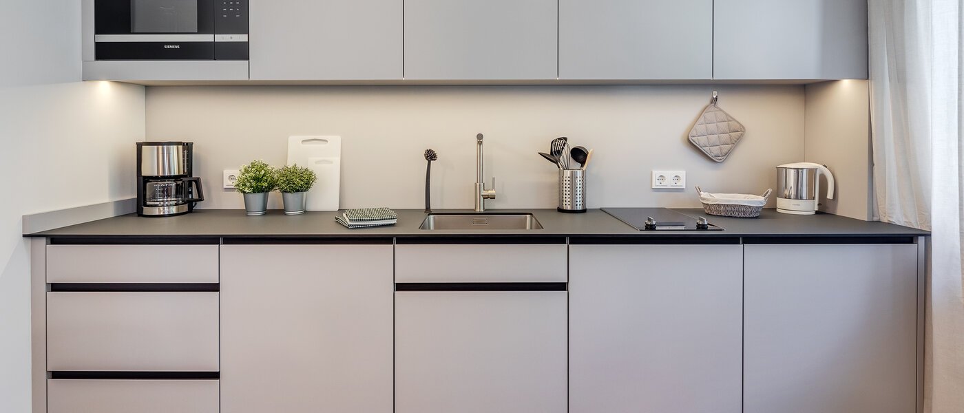 apartment Eching 01 kitchen 11663