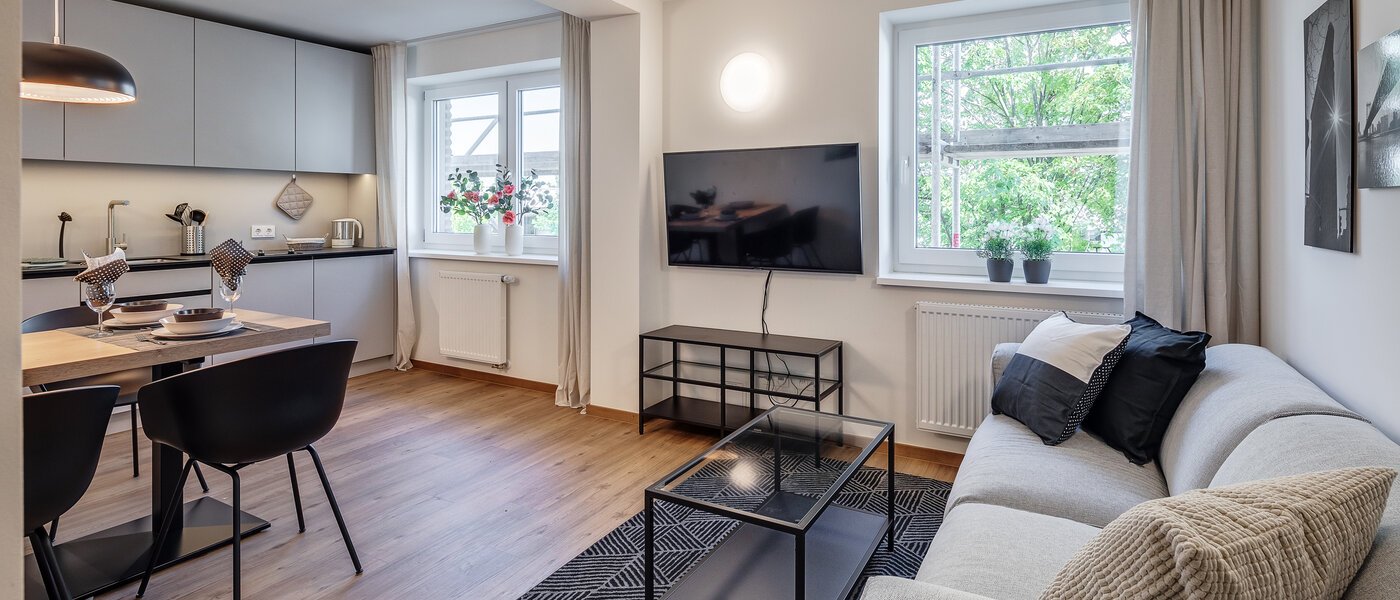 apartment Eching 01 living area 11663