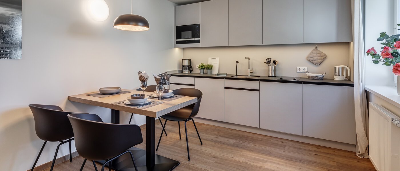 apartment Eching 04 living area 11663