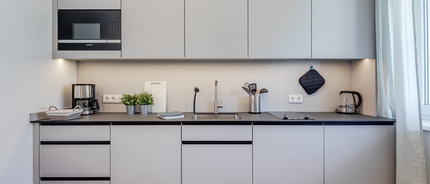 apartment Eching 01 kitchen 11665