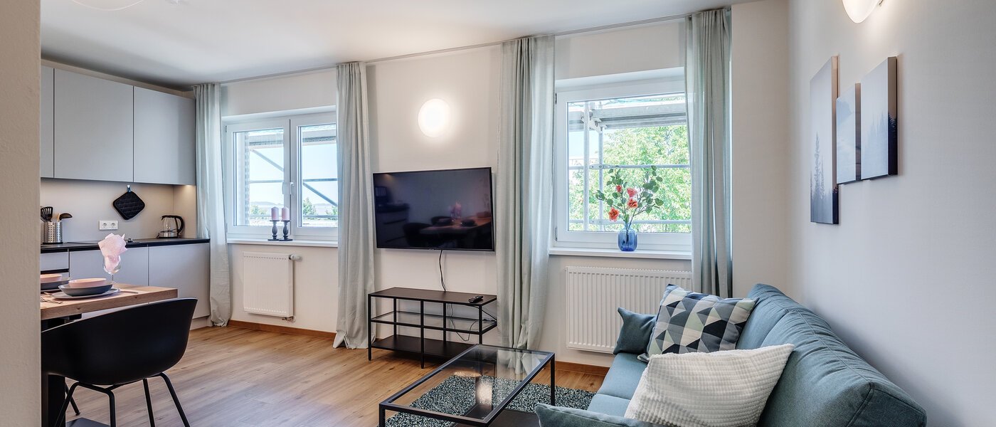 apartment Eching 02 living area 11665