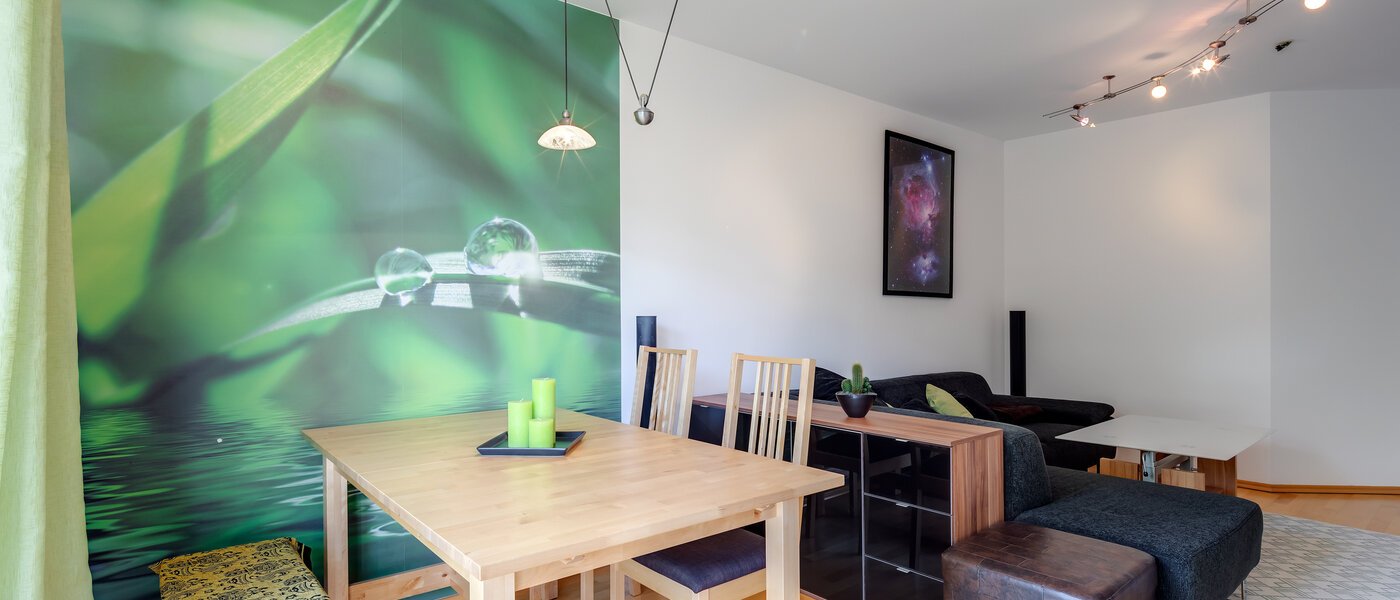 apartment München Pasing 04 living area 11696