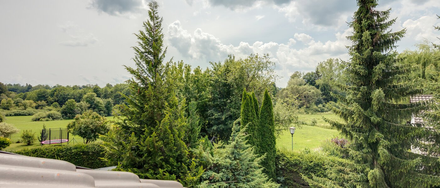 attic apartment Feldafing Tutzing 02 view 11697