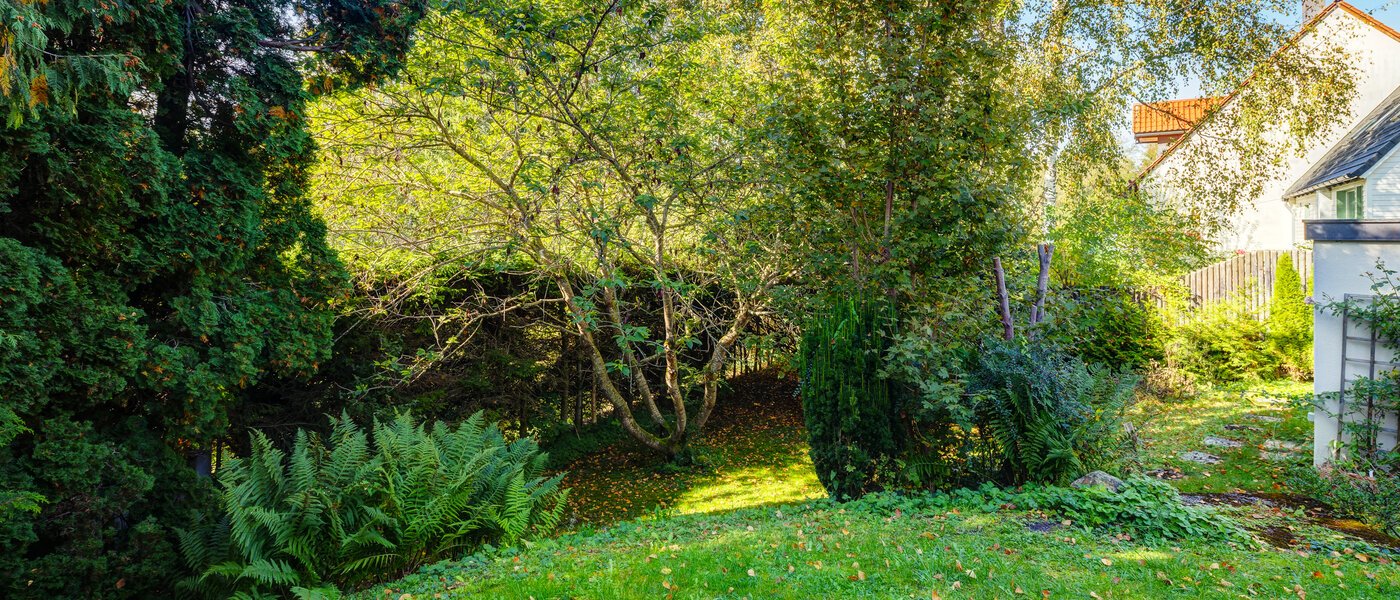 apartment with garden 	 Feldafing 02 garden 11698