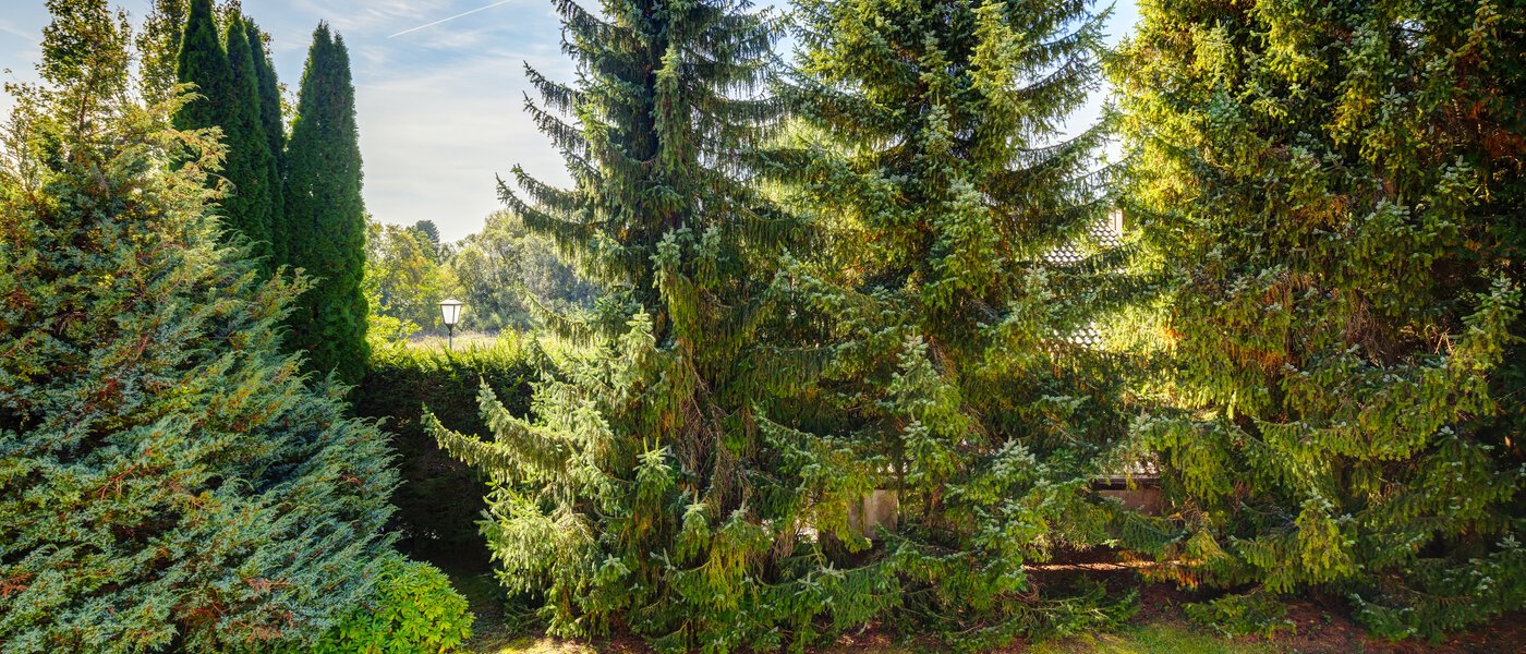 apartment with garden 	 Feldafing 01 view 11698