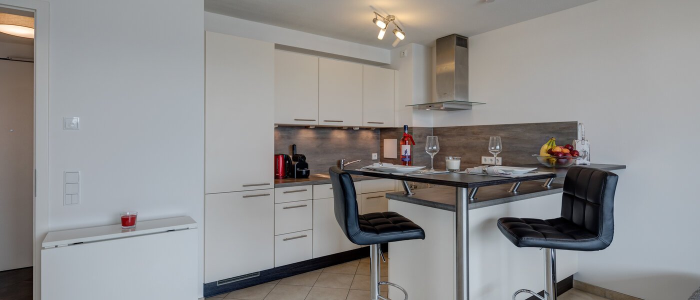 apartment München Pasing 04 kitchen 11739