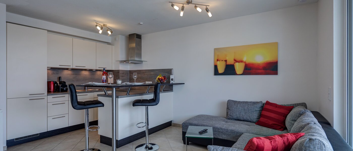 apartment München Pasing 01 living area 11739