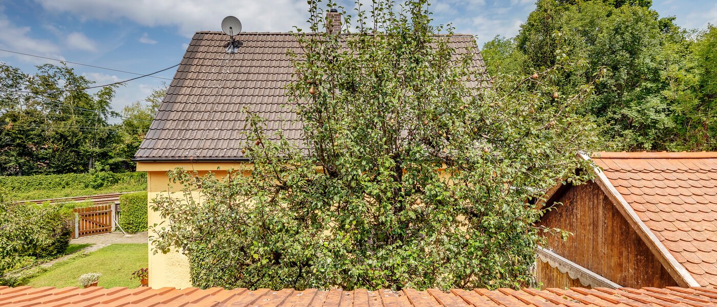 detached house München Fasanerie 02 view 11740