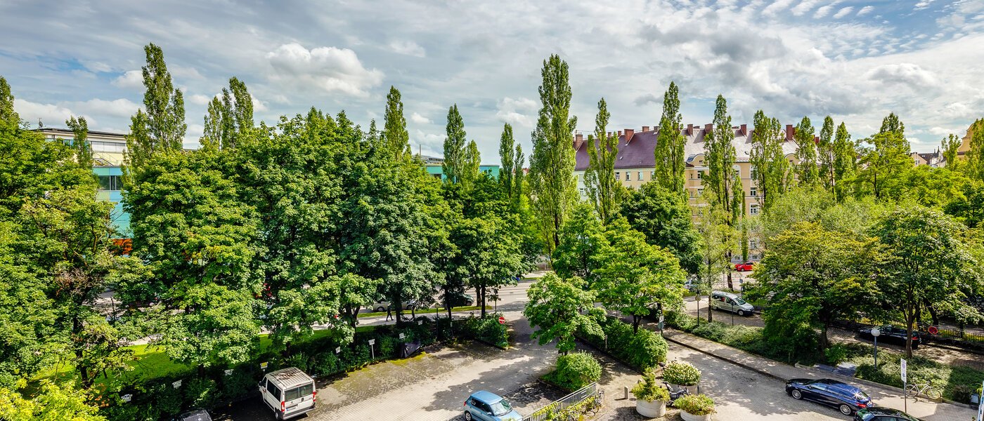 apartment München Haidhausen 01 view 11768