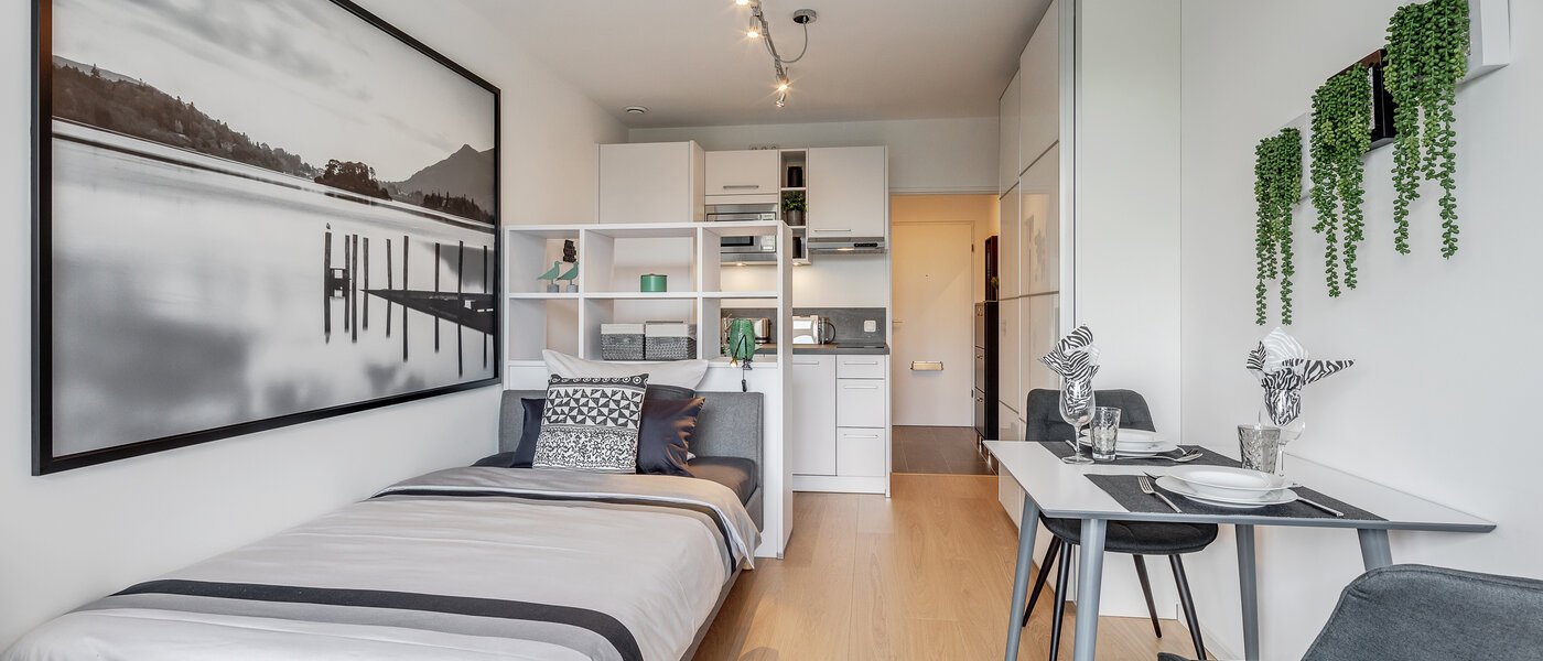 apartment München Haidhausen 03 living area 11768