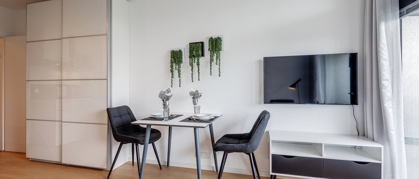 apartment München Haidhausen 04 living area 11768