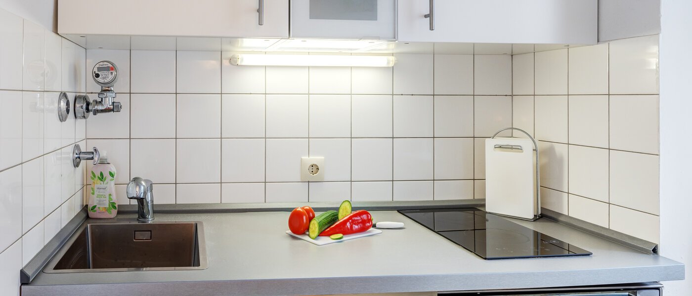 apartment München Englschalking 01 kitchen 11866