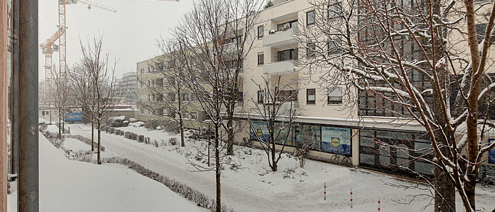 apartment München Schwabing (links der Leopoldstraße) 04 view 1191