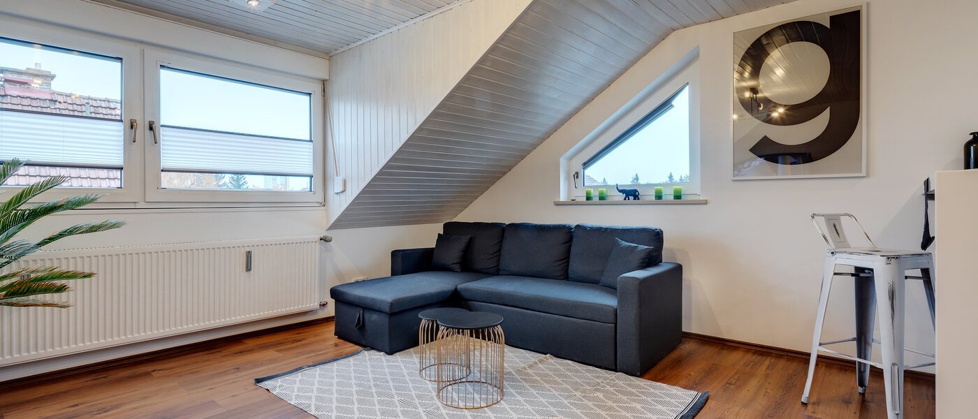 attic apartment München Lerchenau 02 living area 11948