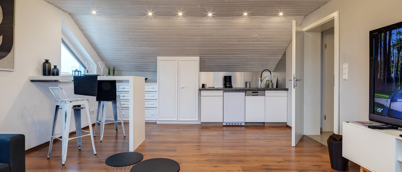 attic apartment München Lerchenau 03 living area 11948