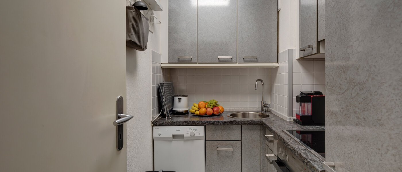 apartment München Feldmoching 01 kitchen 11949