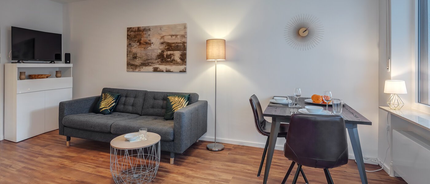 apartment München Pasing 05 living area 12030