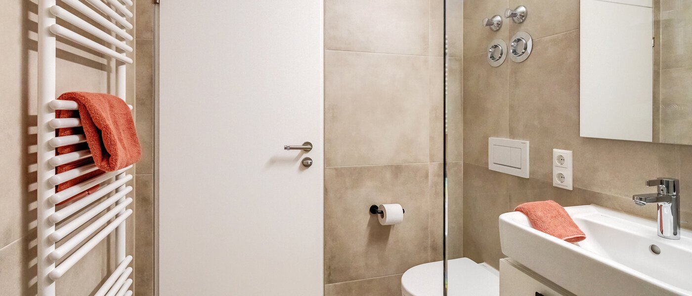 apartment München Haidhausen 03 bathroom 12031