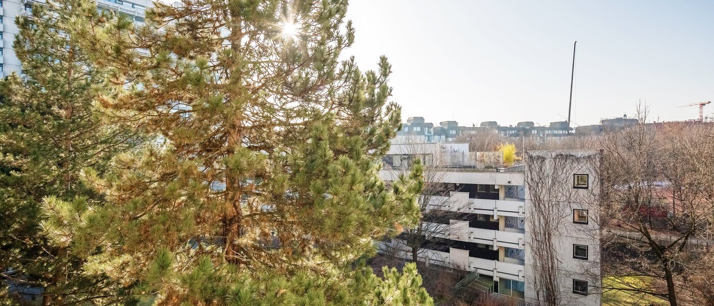 apartment München Haidhausen 01 view 12031