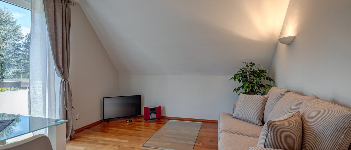 attic apartment München Oberföhring 03 living room 1205