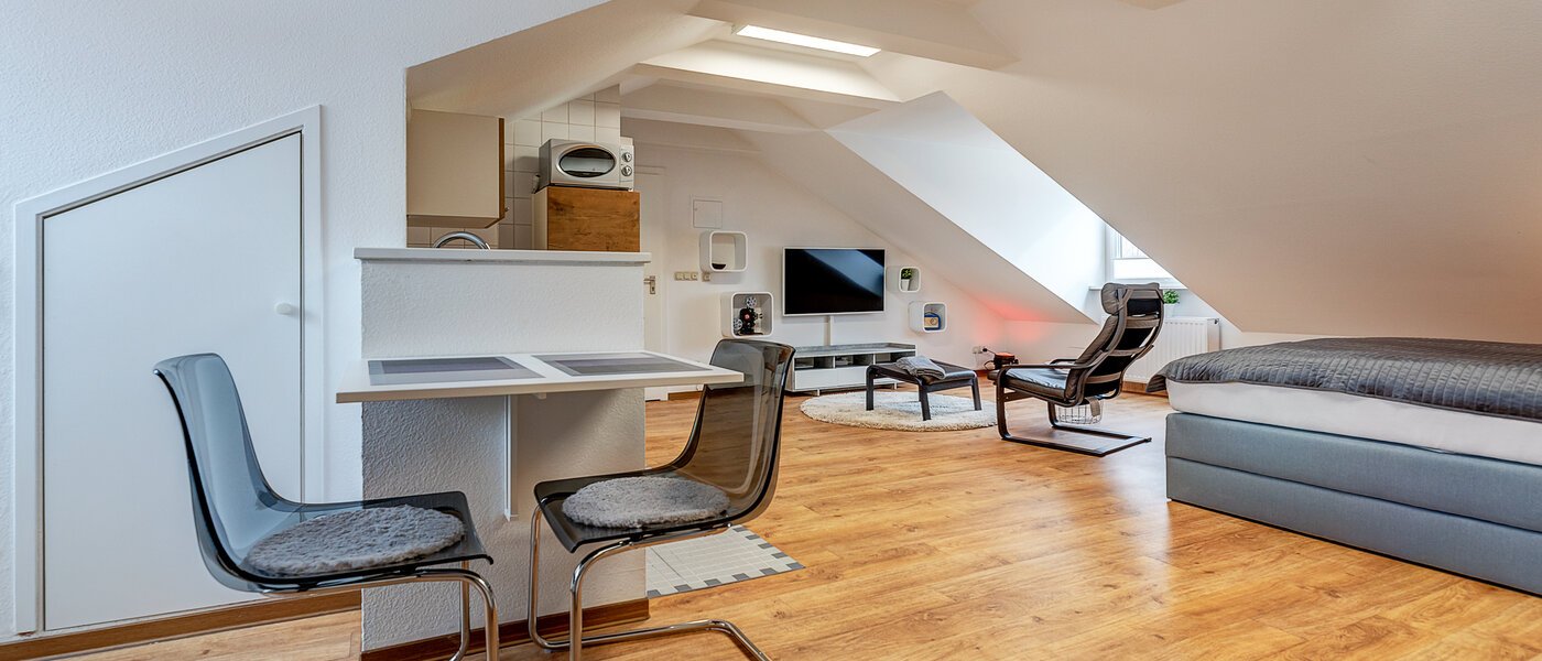 attic apartment München Au 01 living area 12102