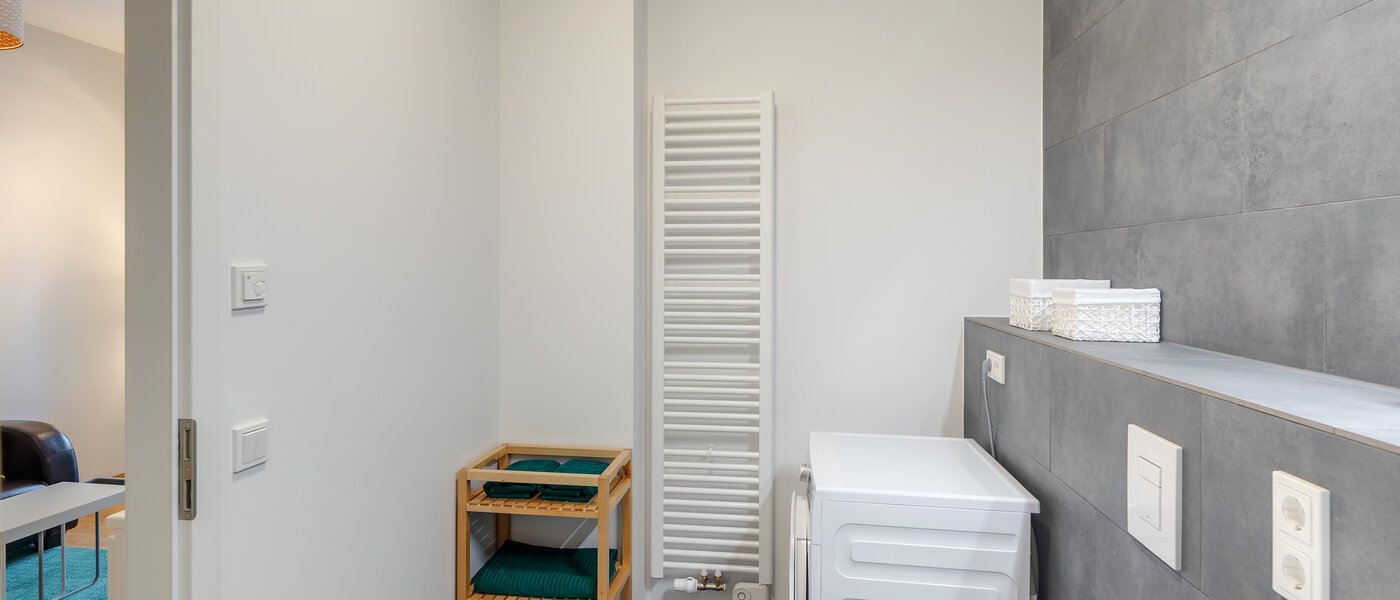 apartment München Haidhausen 03 bathroom 12142