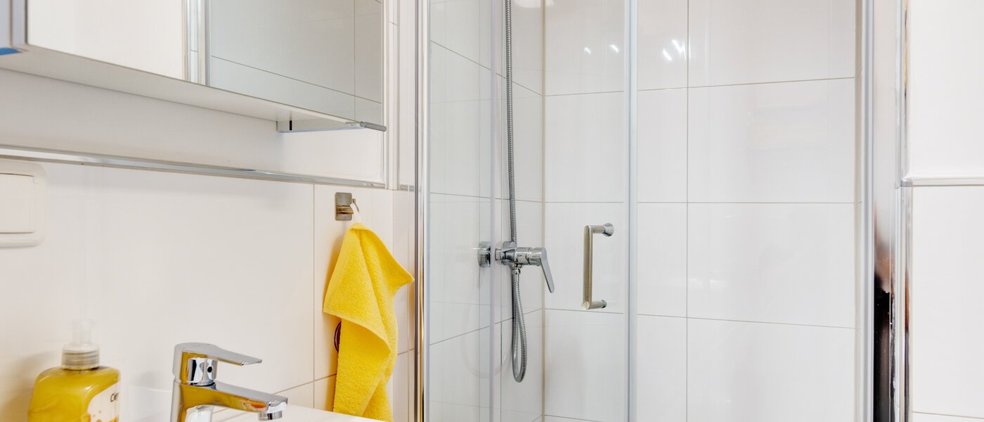 apartment München Maxvorstadt - Museumsviertel 01 bathroom 1215