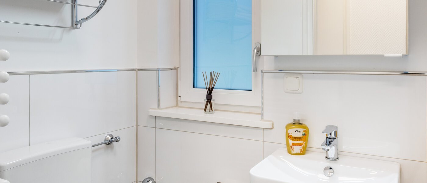 apartment München Maxvorstadt - Museumsviertel 03 bathroom 1215