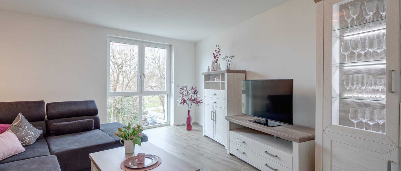 apartment München Pasing 01 living area 12162