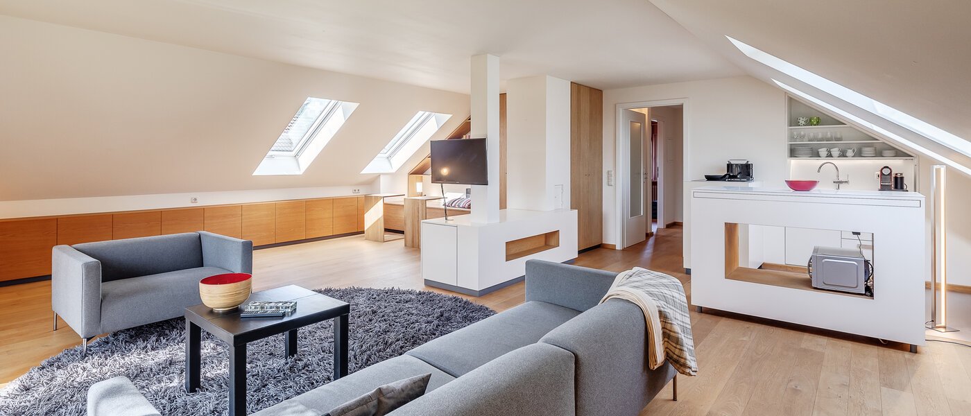 attic apartment München Großhadern 01 living area 12176