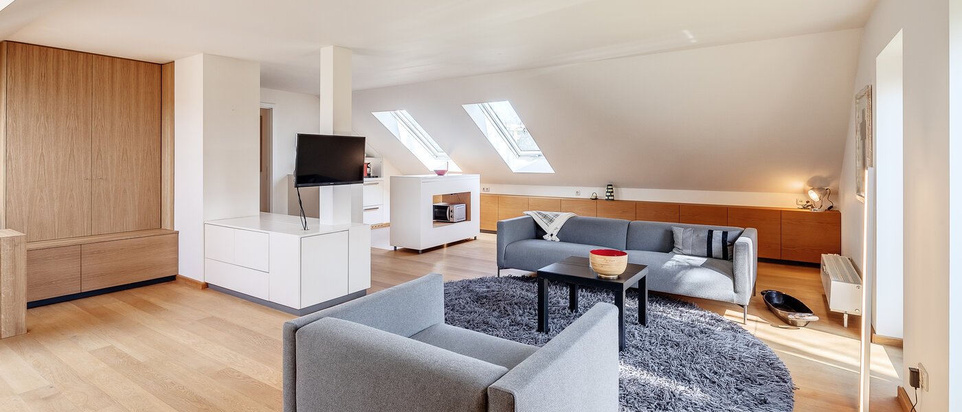 attic apartment München Großhadern 04 living area 12176
