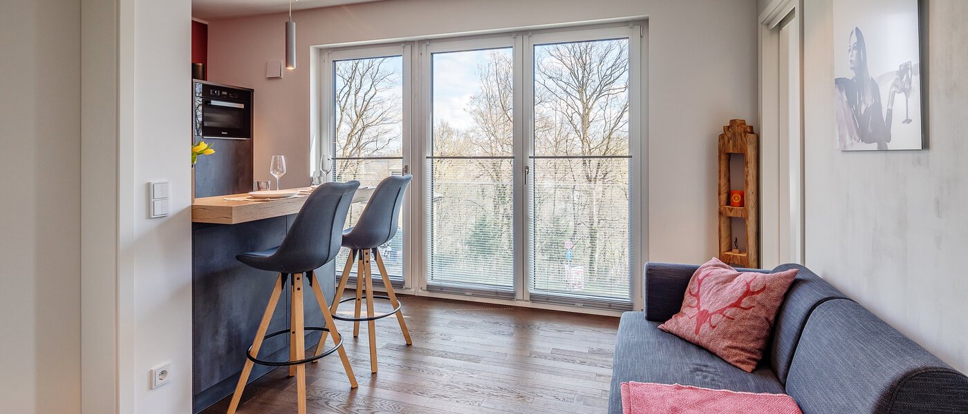 apartment München Thalkirchen 02 living area 12190