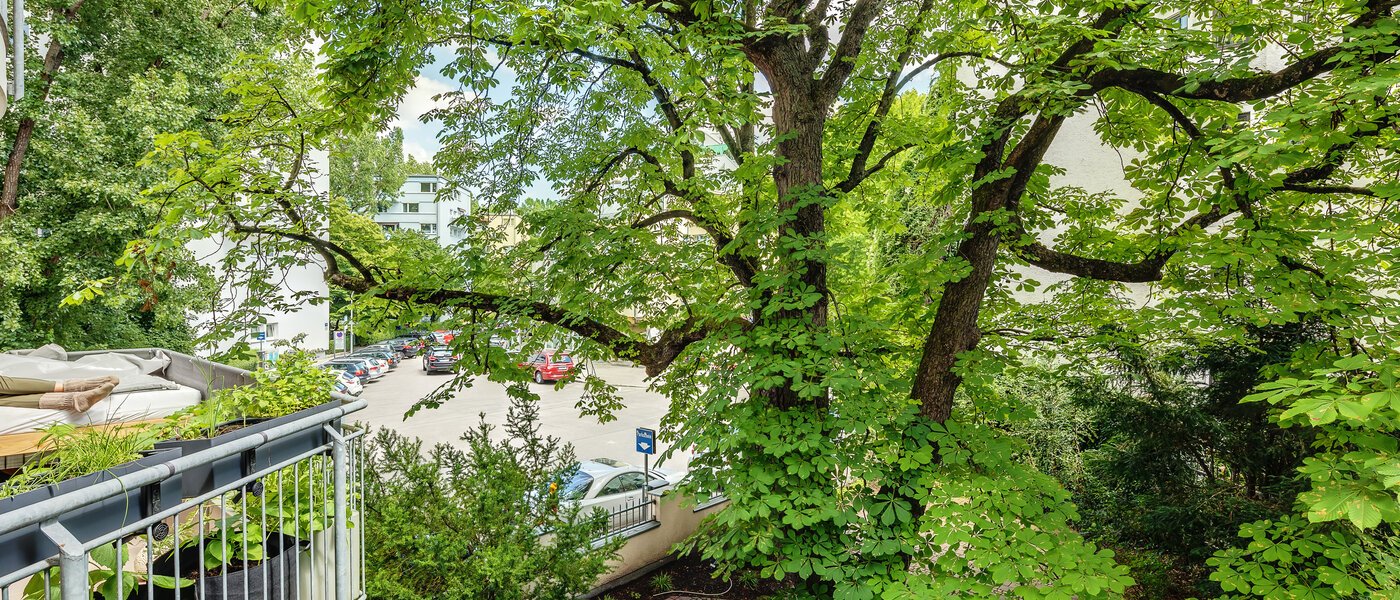 apartment München Schwabing 03 view 12216