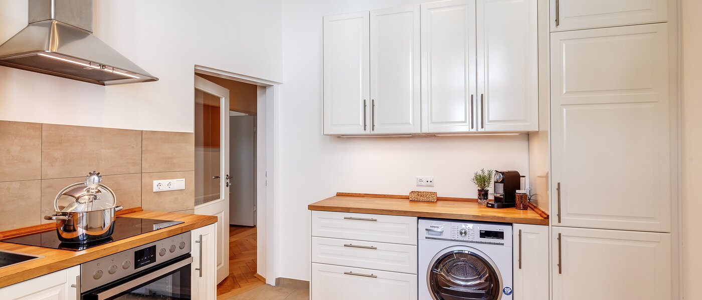 apartment München Isarvorstadt 02 kitchen 12242