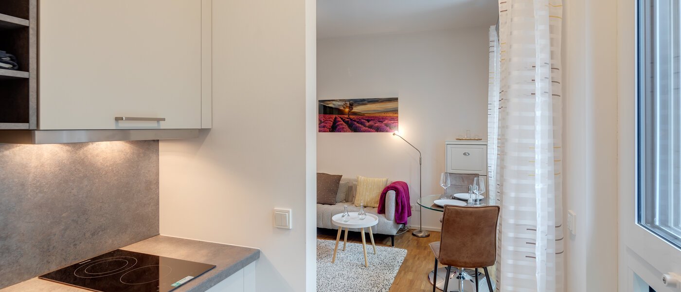 apartment München Haidhausen 03 kitchen 12259