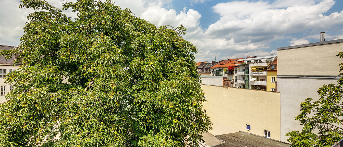 apartment München Gärtnerplatzviertel 02 view 12286