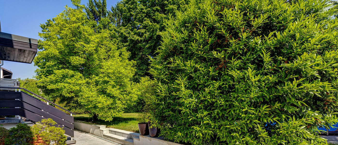 maisonette München Cosimapark 06 community 12301