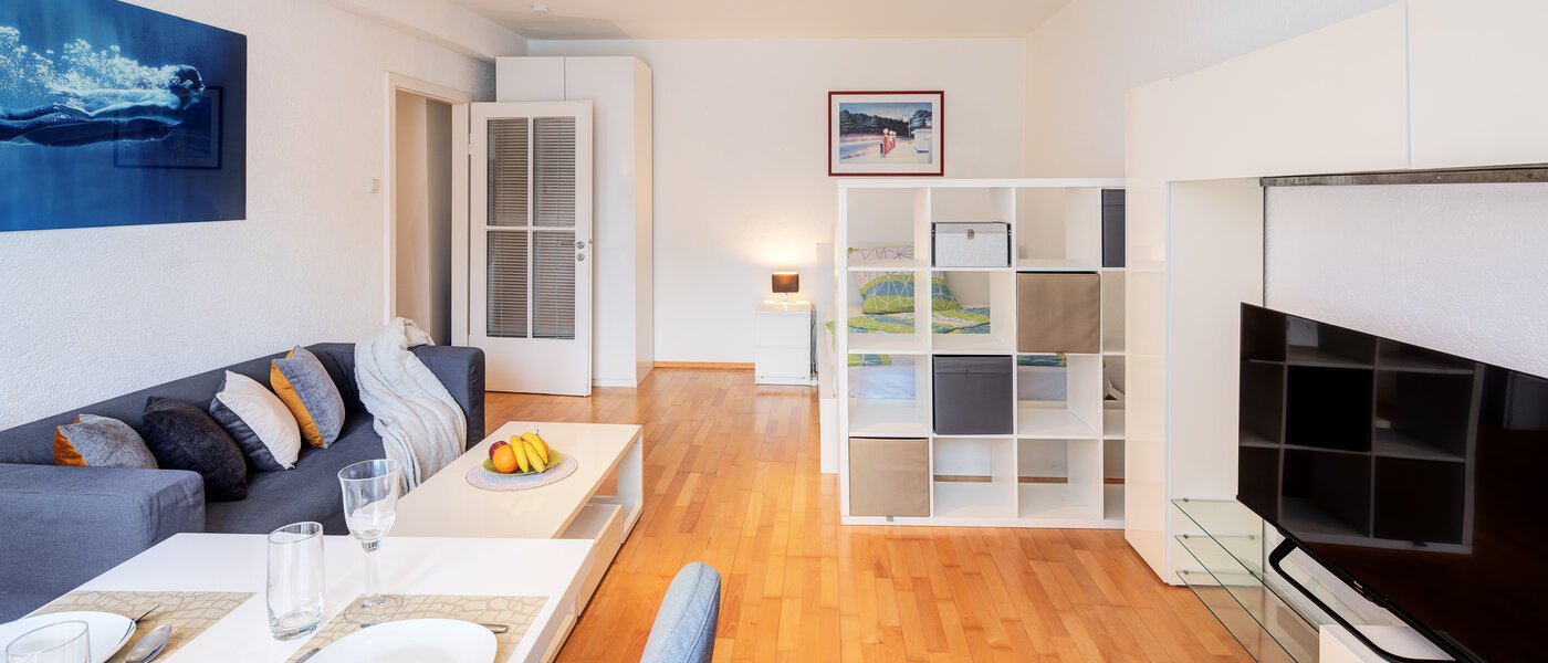 apartment München Ludwigsvorstadt 03 living area 12329