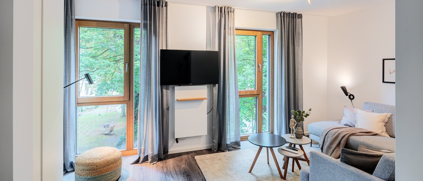 apartment München Pasing 01 living room 12332