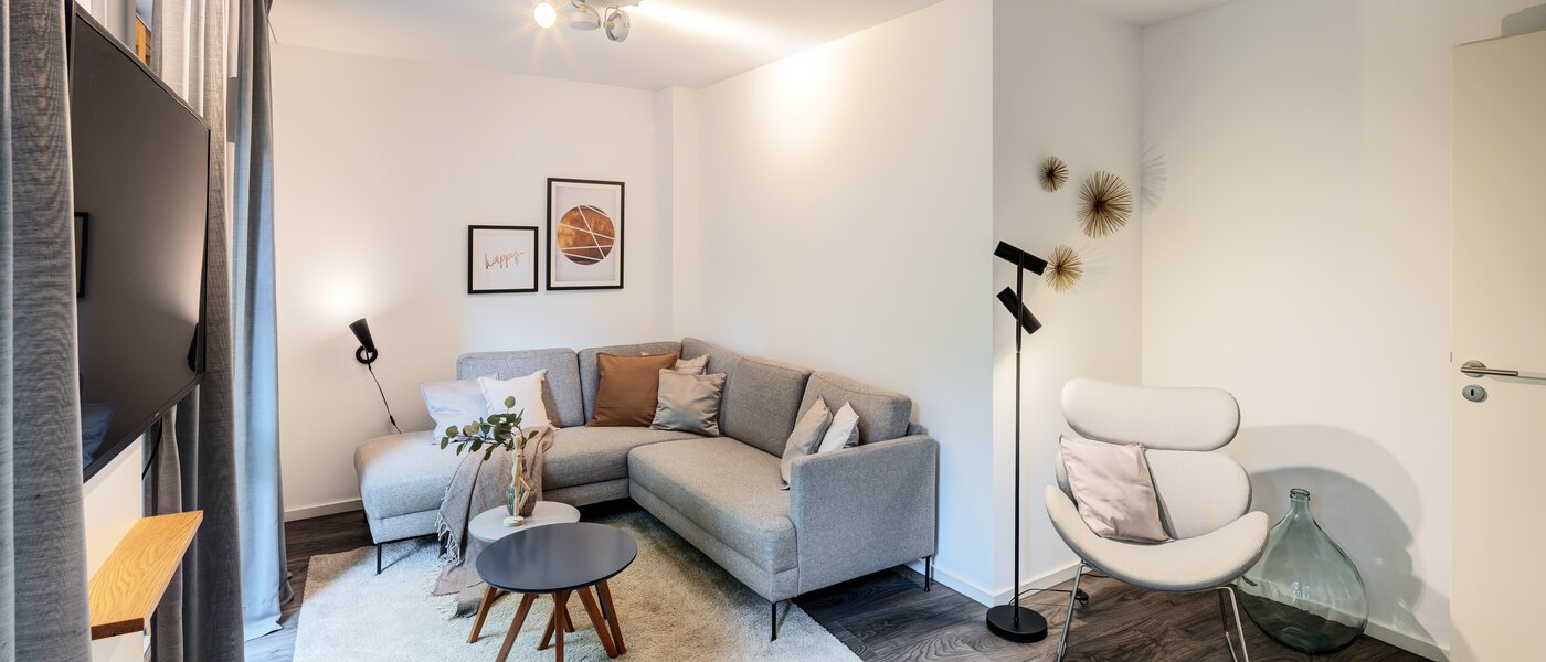 apartment München Pasing 02 living room 12332