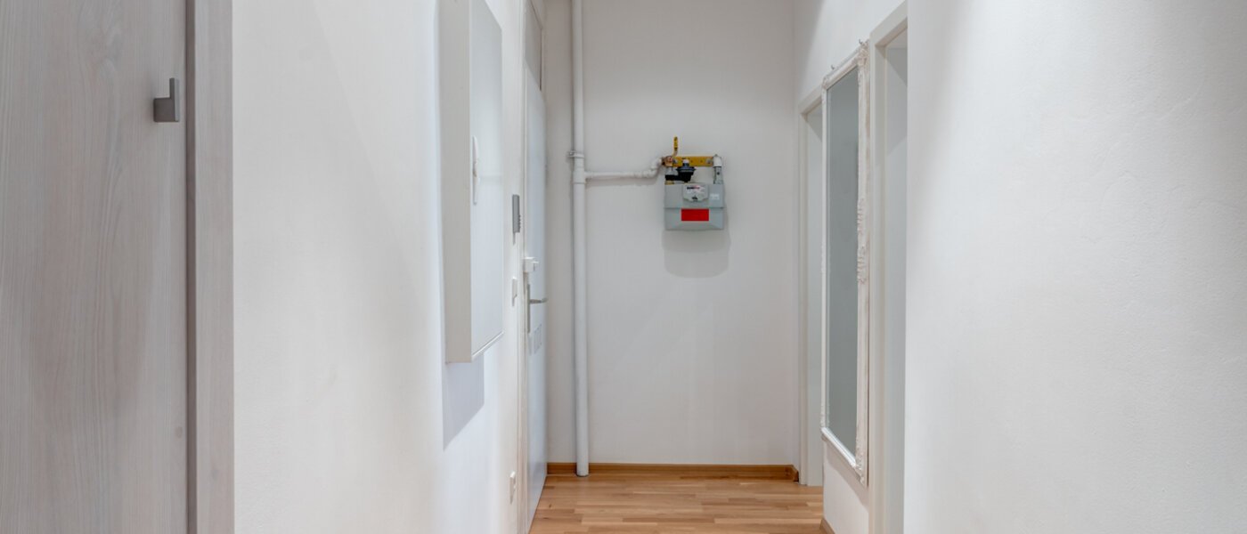 apartment München Neuhausen 01 hall 12363