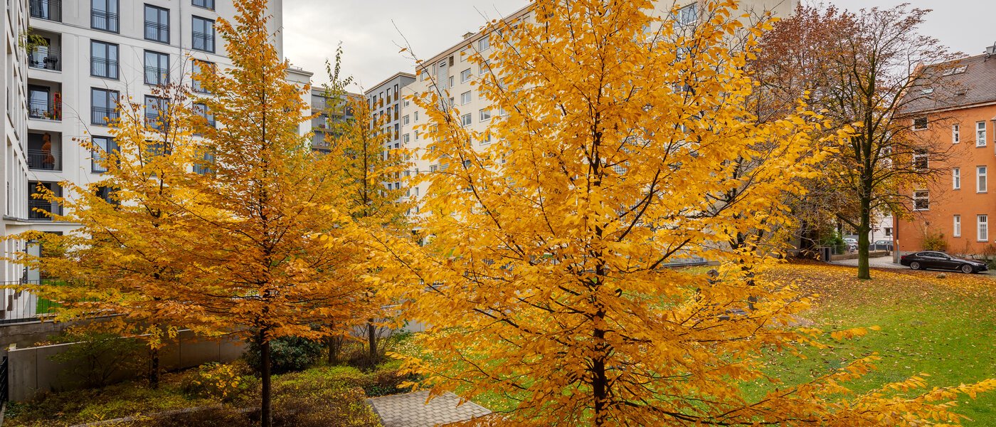 apartment München Bogenhausen 01 view 12389