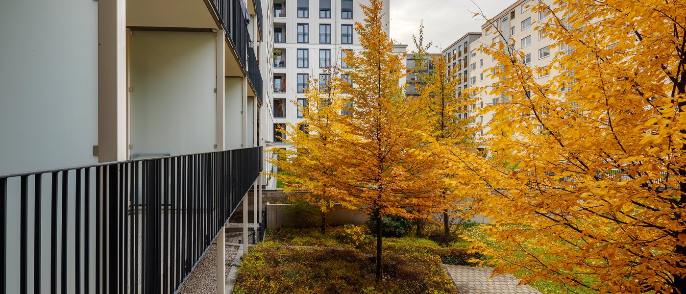 apartment München Bogenhausen 02 view 12389