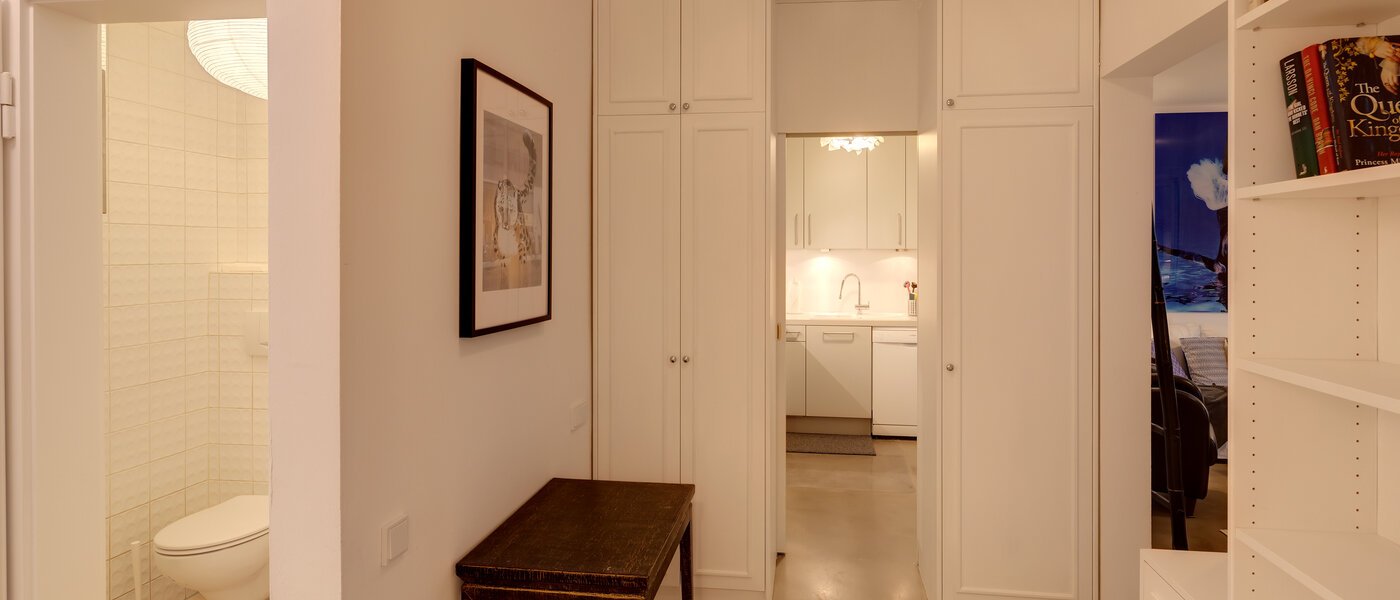 apartment München Bogenhausen 03 hall 12411