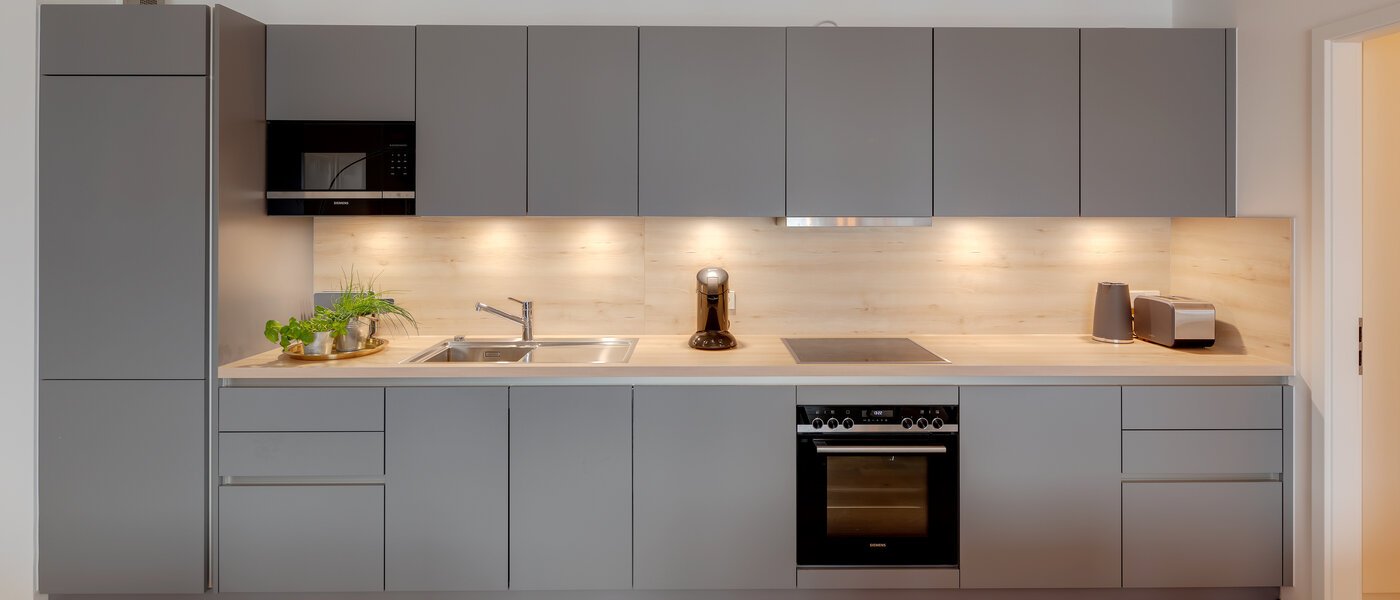 apartment München Au 01 kitchen 12459